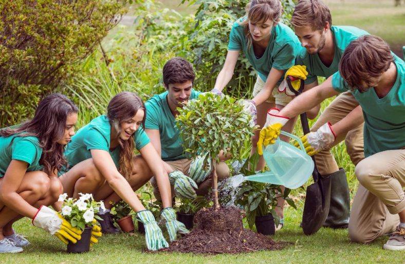 Quand les jardins font pousser la participation citoyenne